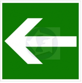 E 013L - symbol